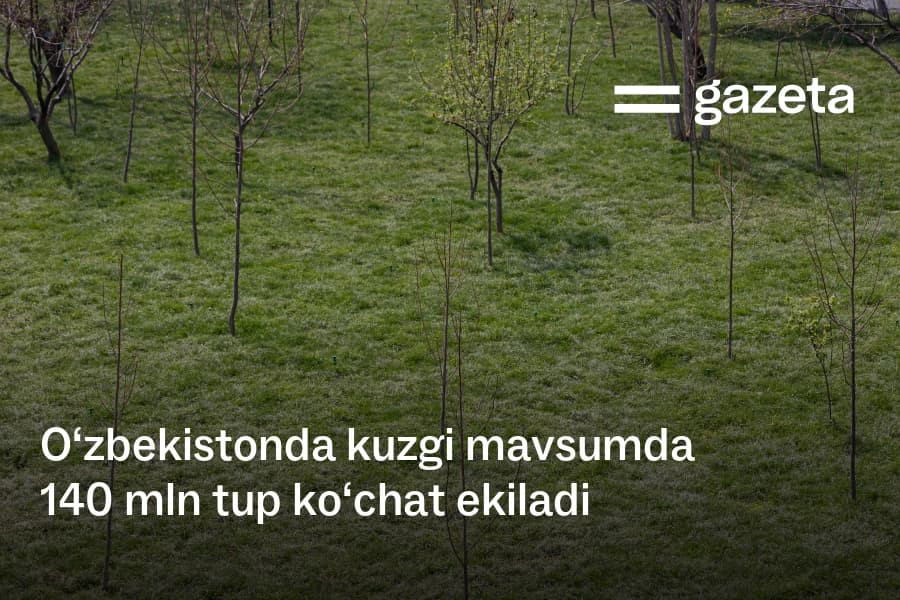 2026-yil kuzida O‘zbekistonda «Yashil makon» loyihasi doirasida 140 mln ko‘chat ekiladi