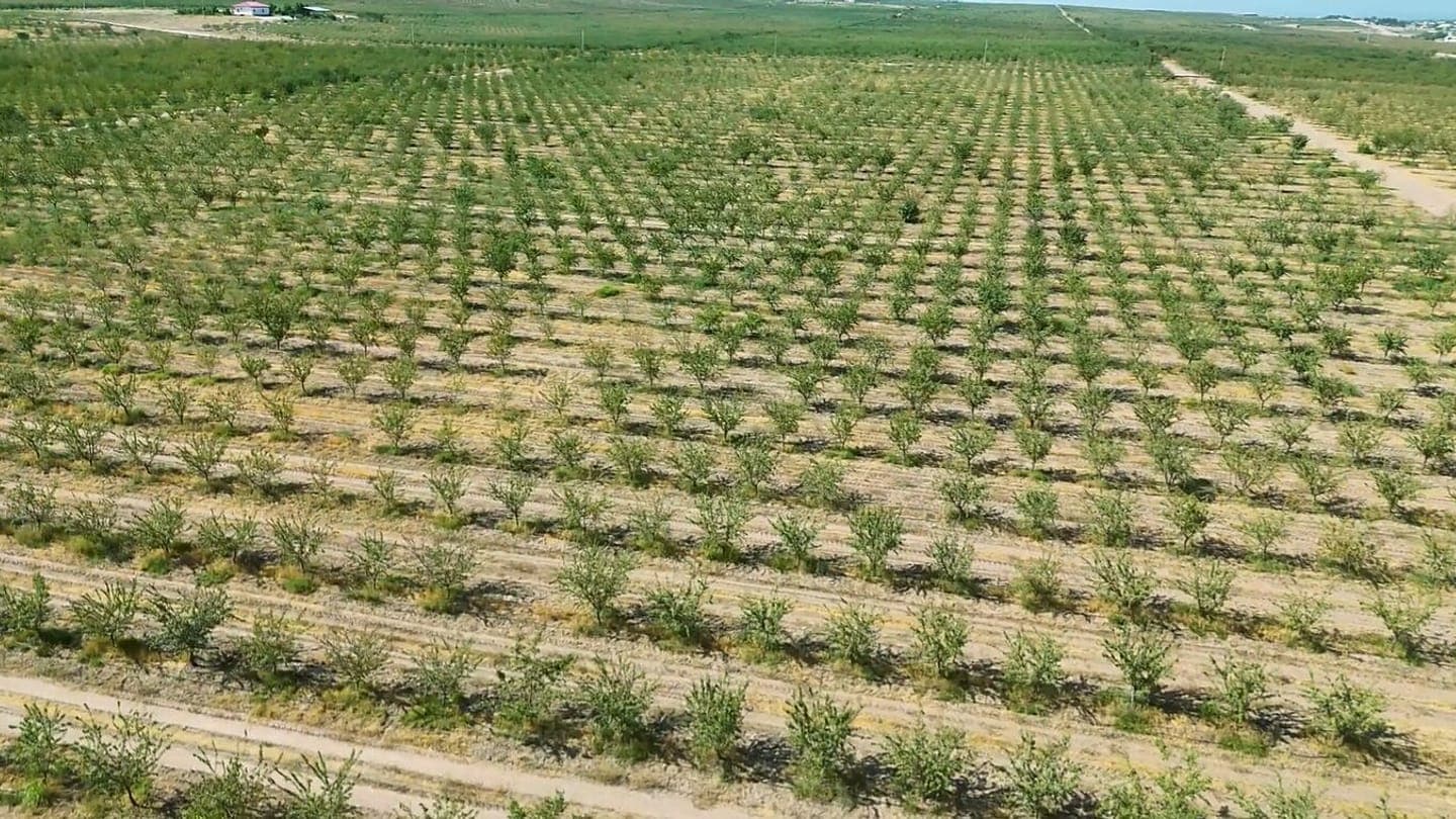 Dengizga chiqishi bo‘lmagan mamlakatlarda oziq-ovqat xavfsizligi xavf ostida: suv tanqisligi va qimmat import