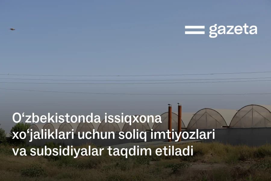 В Узбекистане ввели налоговые льготы и субсидии для тепличных хозяйств