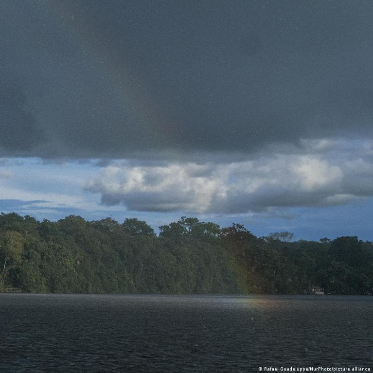 Deforestation in Brazil's Amazon falls to lowest level in nearly 40 years