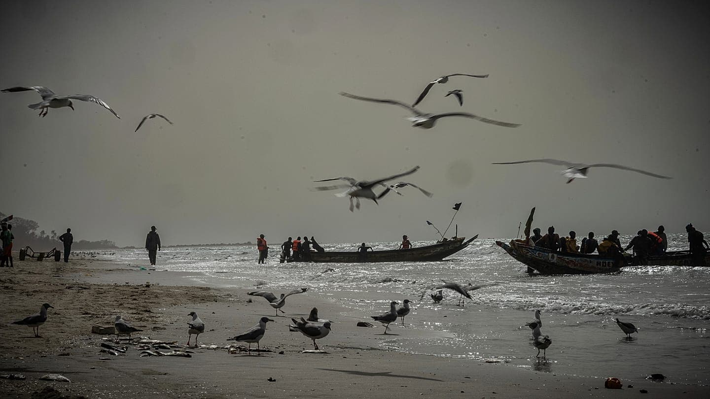 Migrant boat sinks off the coast of Gambia: at least 12 dead