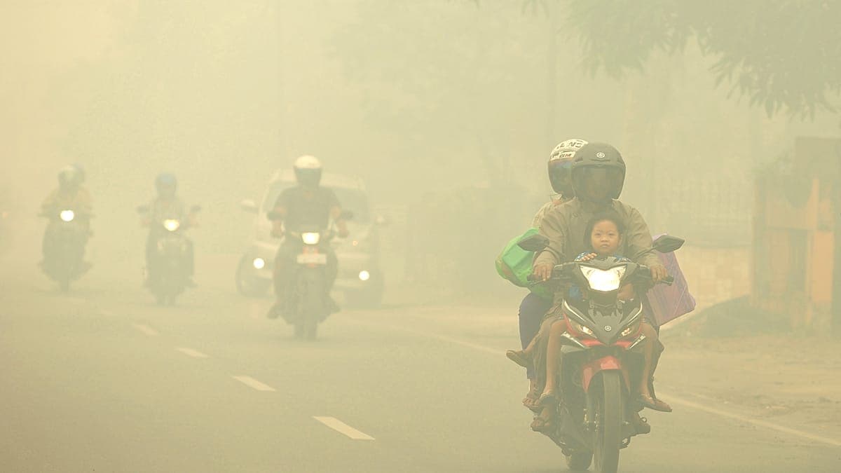 Indoneziyadagi oʻrmon yongʻinlaridan chiqqan tutun osmonni toʻq sariq rangga boʻyab, Singapurni qoplab oldi