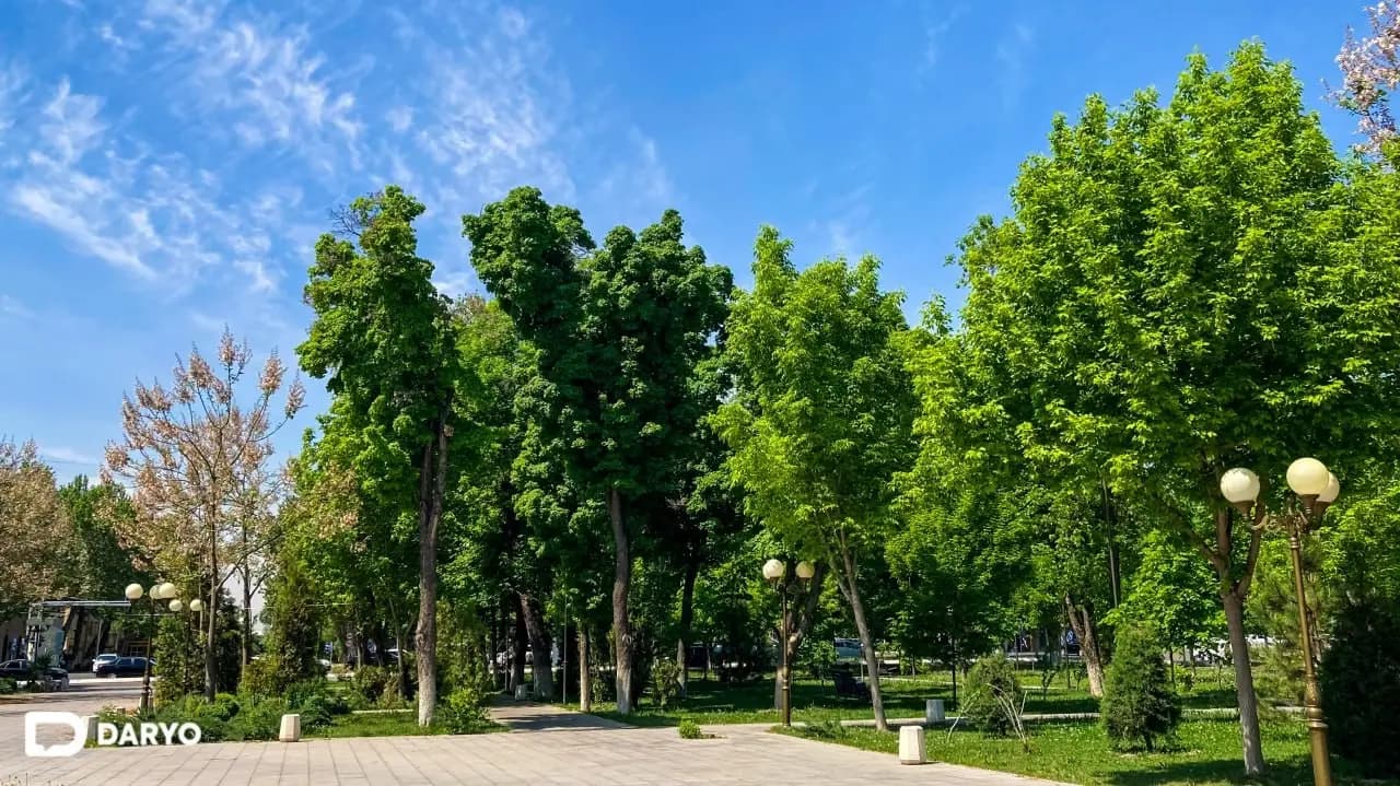 Today in Uzbekistan it will warm up to 27 degrees — Uzhydromet