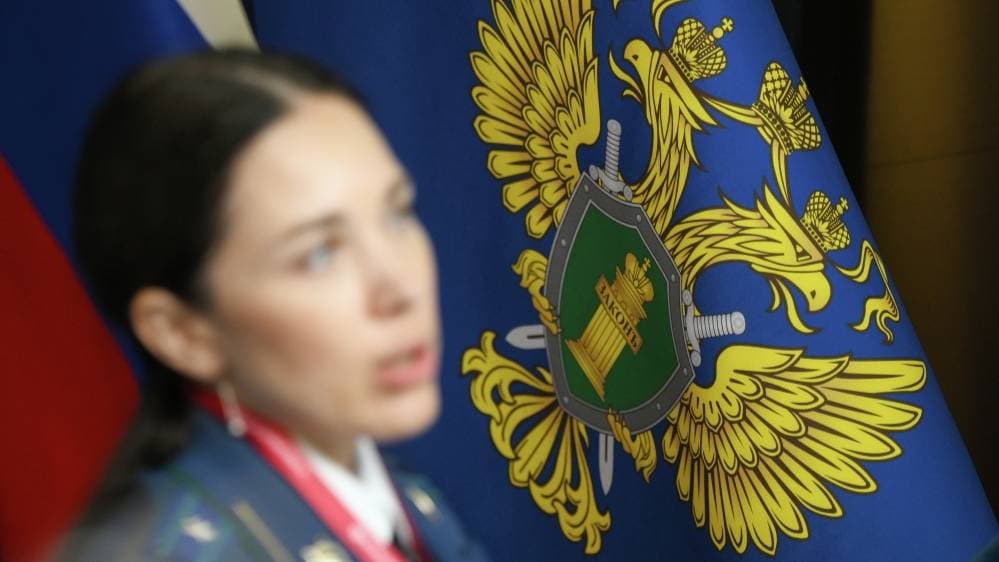Kostroma Region Prosecutor's Office Checking Reports of Starving Children from a Large Family