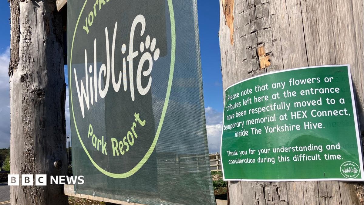 Death of William Chapman at Yorkshire Wildlife Park: inquest continues, park reopens