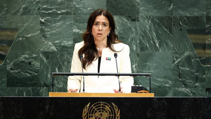 Lana Nusseibeh declares commitment to 'security and freedom' as Palestine backs her candidacy