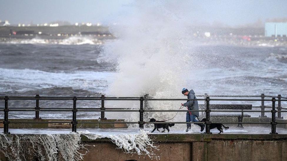 A man walks along a sea wall with two small black dogs while trying to avoid waves on New Brighton Promenade.