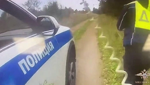 Wounded four and stole a car: Fugitive detained near St Petersburg after dormitory stabbing