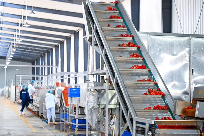 Qashqadaryo region, Shavkat Mirziyoyev, Wosune Food Ingredients Karshi