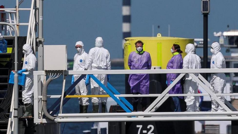 Rotterdamda MV Hondius kemasi bortida himoya kiyimidagi odamlar
