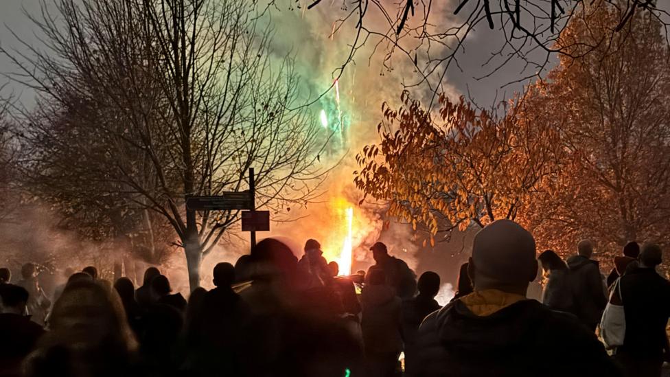 Толпа людей наблюдает за яркими фейерверками, запускаемыми в парке