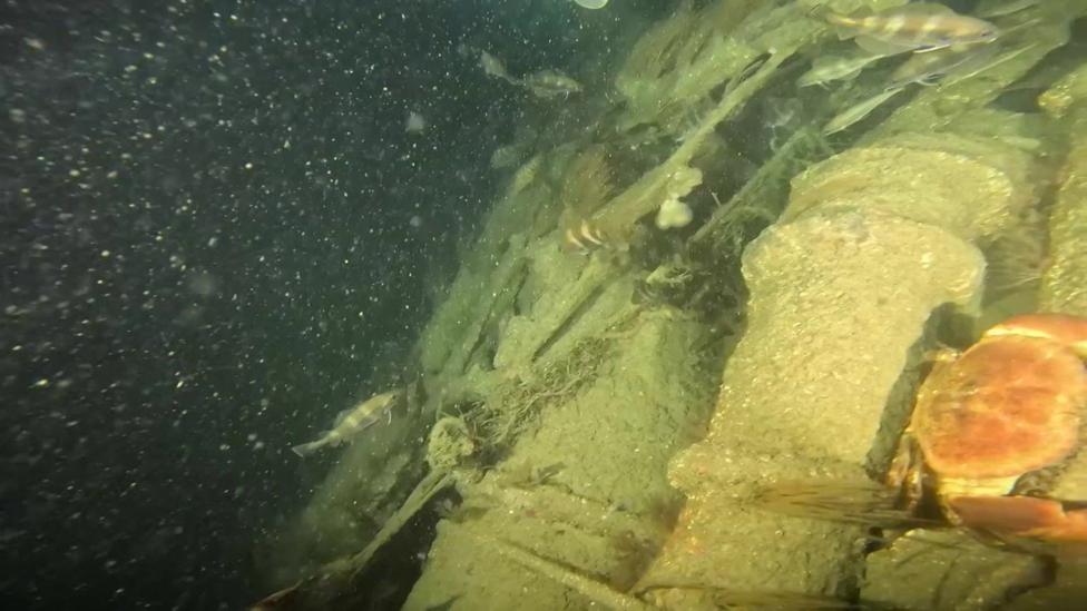 An underwater view of a submarine wreck, with fish swimming around it.