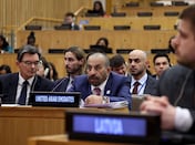 UAE calls for stronger protection of global supply chains to safeguard food security