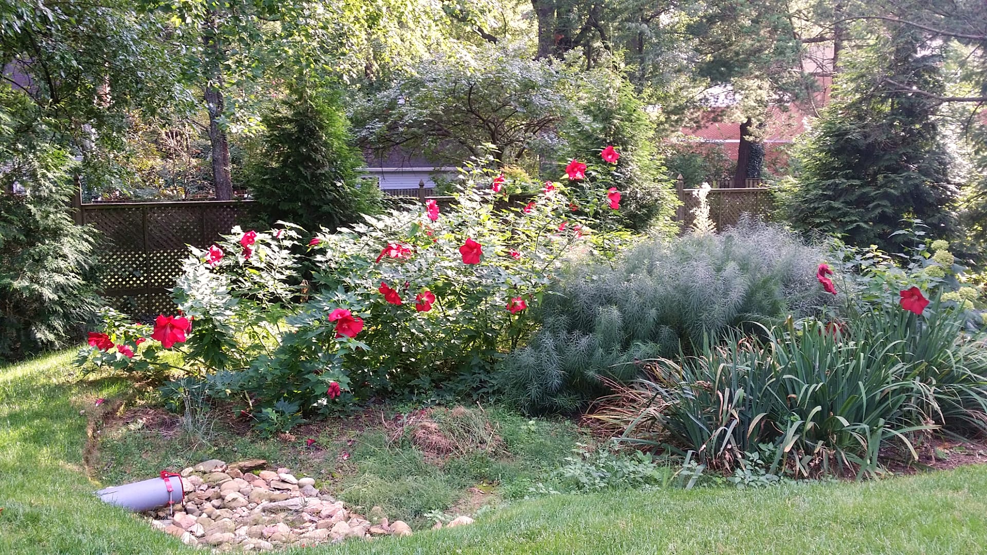 A rain garden with mature plantings appears in Montgomery County, Md., on Sept. 14, 2014. 