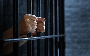 Russian woman held in US prison for two months, $90,000 demanded for her release