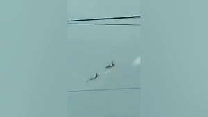 Deadly exercises: Video captures the moment of a mid-air collision between aircraft over the Fernando air base