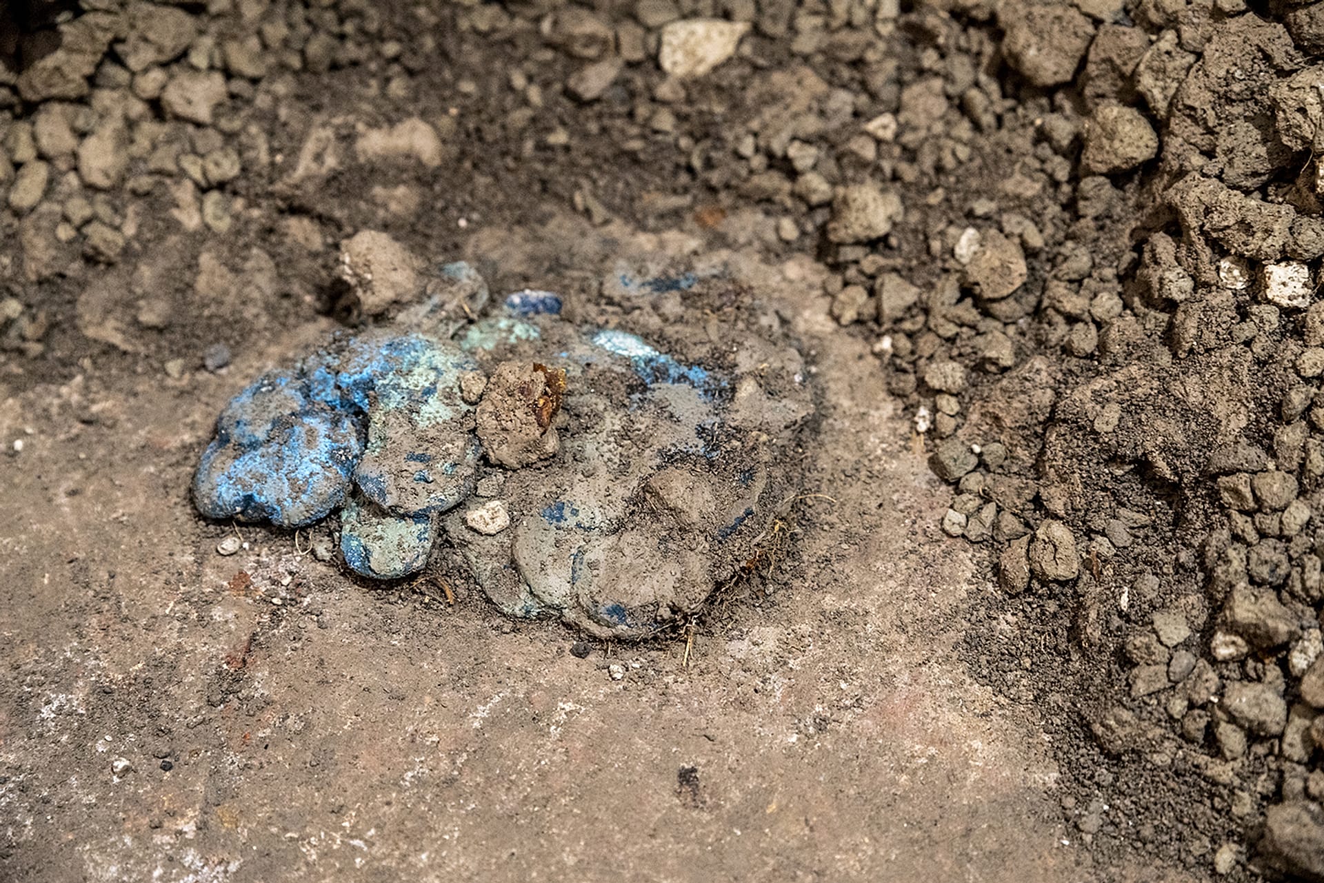 Coins found in the wardrobe - Pompeii Archaeological Park