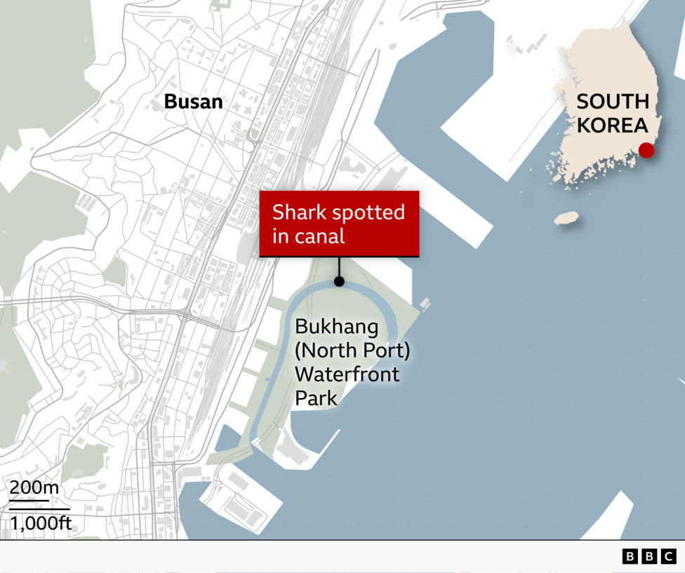 Map of the coast of Busan, South Korea, where a shark was spotted in a canal near Bukhang (North Port) Waterfront Park.