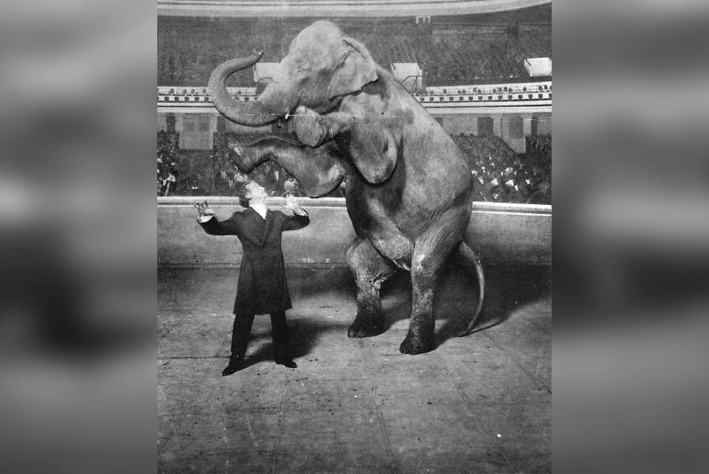 Harry Houdini performed the vanishing of the elephant Jennie and astonished audiences with an instant swap inside a trunk. Photo © Wikipedia / White Studio