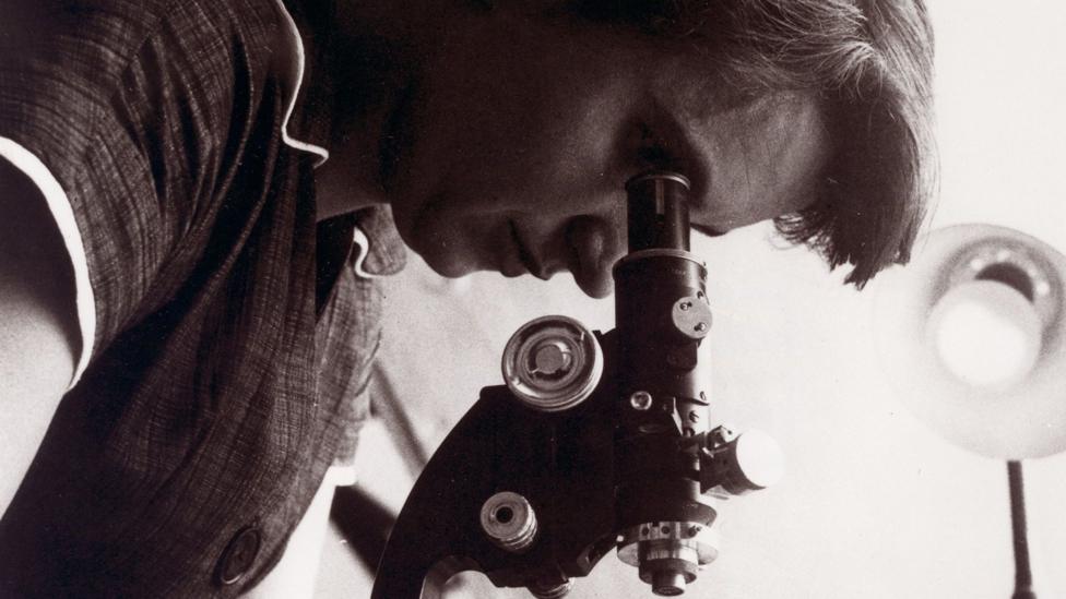 A black and white photo shows Franklin looking down through a microscope in a lab indoors in 1955.