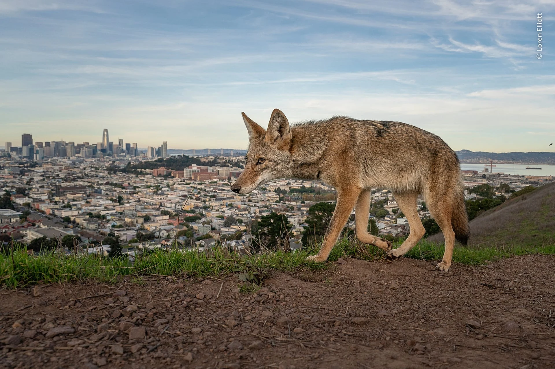 ‘On the Outskirts’ by Loren Elliott, USA, won the Photojournalist Story Award. 