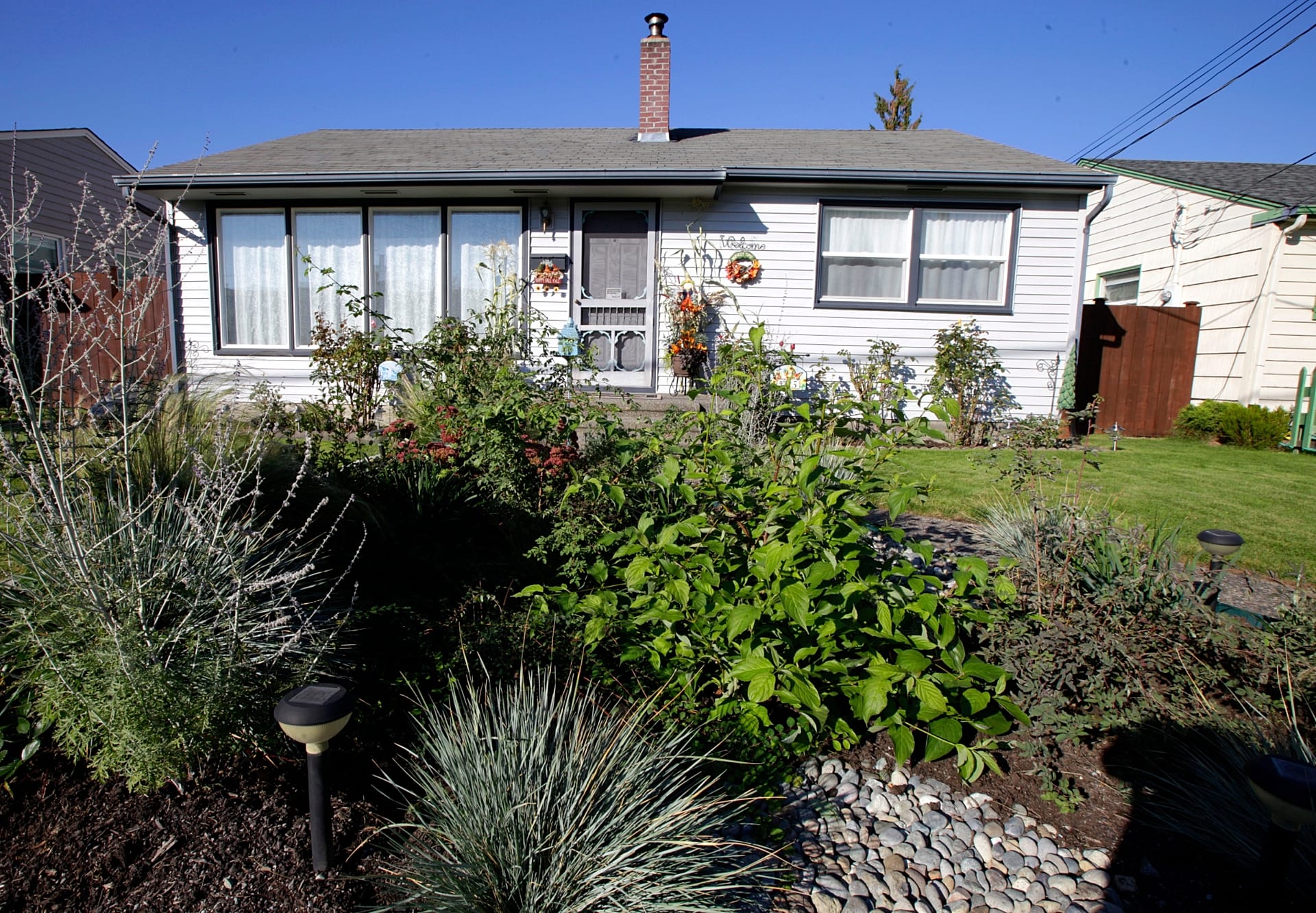 FILE - A rain garden appears in a residential area of Puyallup, Wash., on Oct. 18, 2011. 